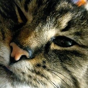 Meet your Posher, Spencer